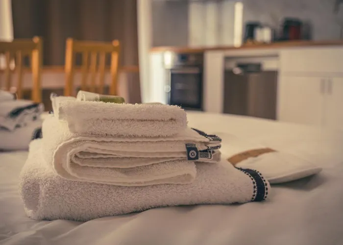 Apartment Lumineux Dans Le Marais *